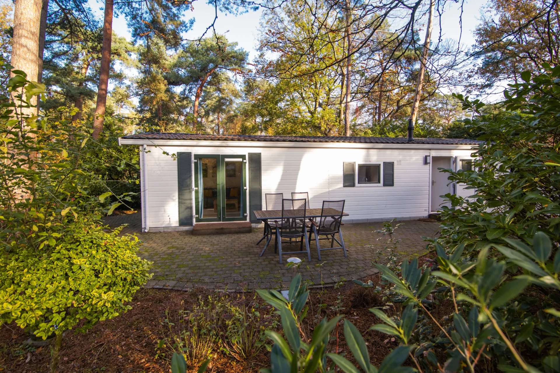 Koolmeesje S164 chalet 4 personen 6 2