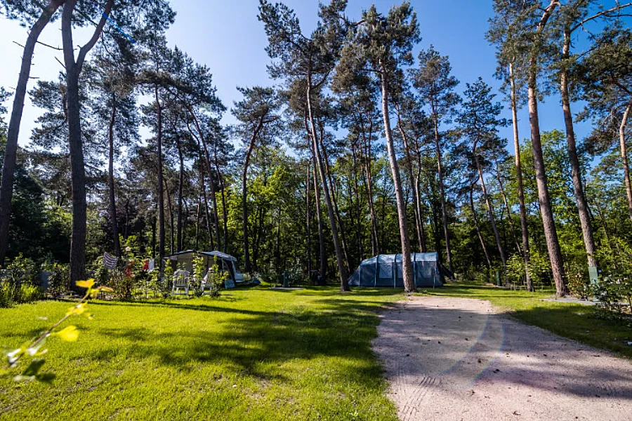 Camping-Hessenheem-5