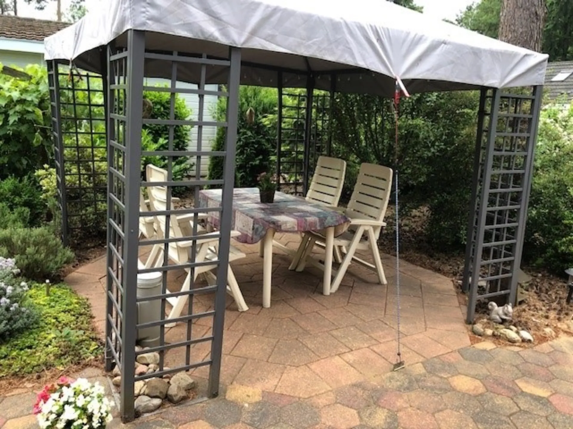 Terras 4