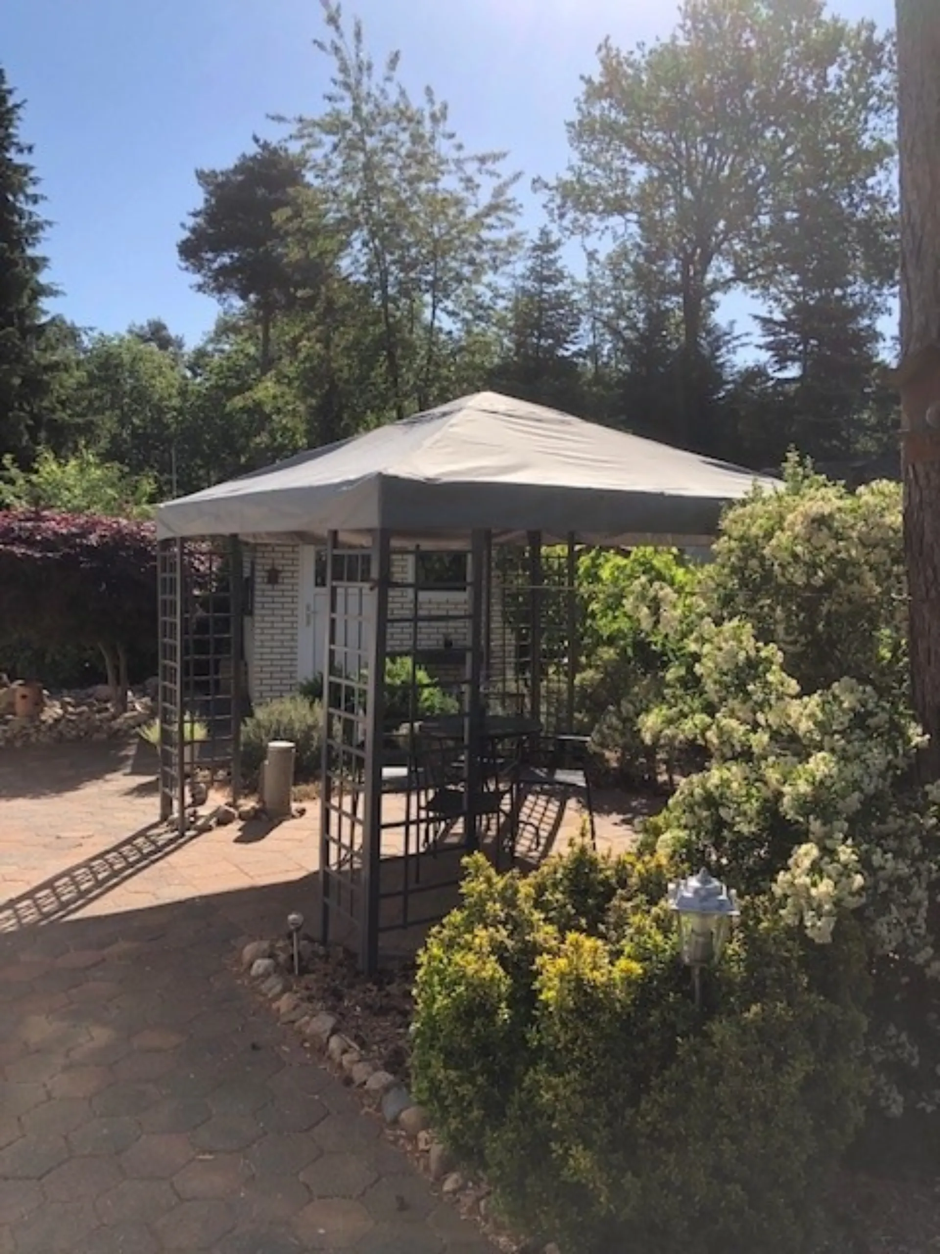 Terras